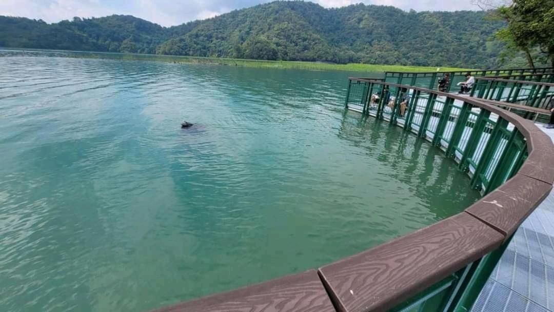 Sun Moon Lake Youth Hostel Yuchi Exterior photo